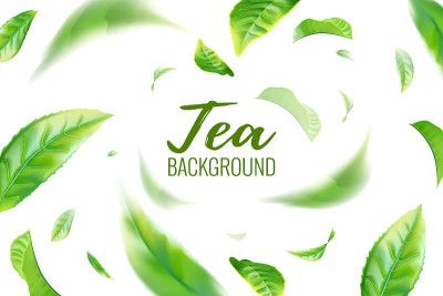 逼真的绿茶叶背景的广告海报。矢量图