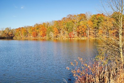 塞勒姆湖的晚秋美景，Kernersville, NC。