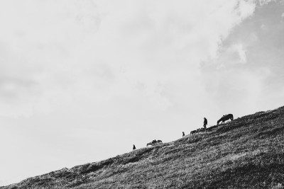 人们骑着马走下山道