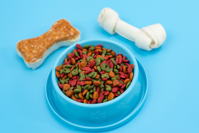 宠物食品在碗与骨头狗在颜色背景。