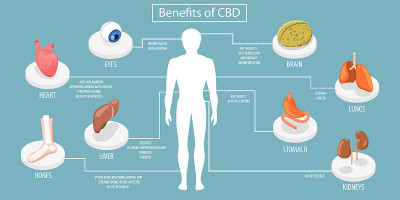 三维等距平面矢量概念说明CBD的好处
