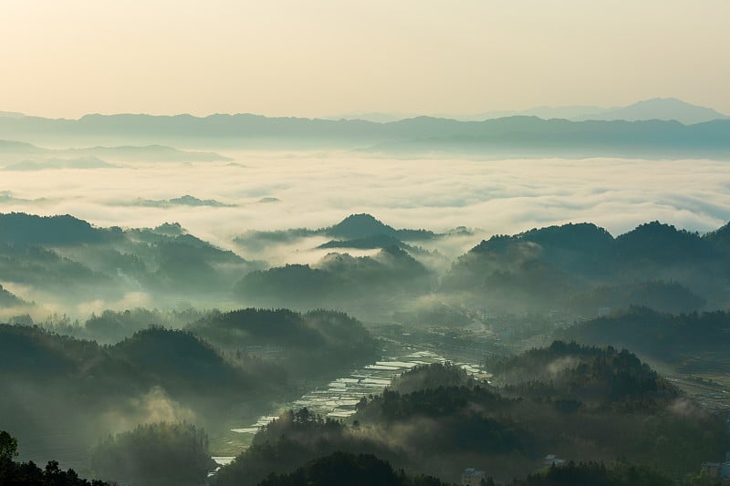 紫喜鹊梯田是中国风景区、自然文化遗产、水利风景区。