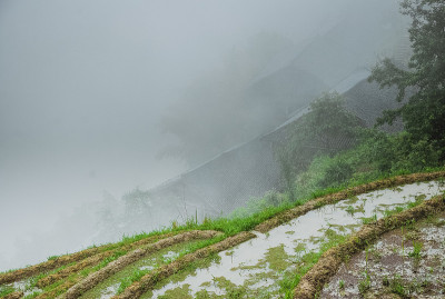 龙脊梯田风光