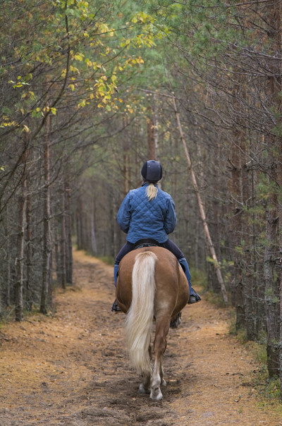 在森林里骑马