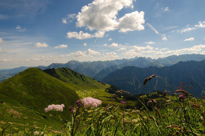 山全景