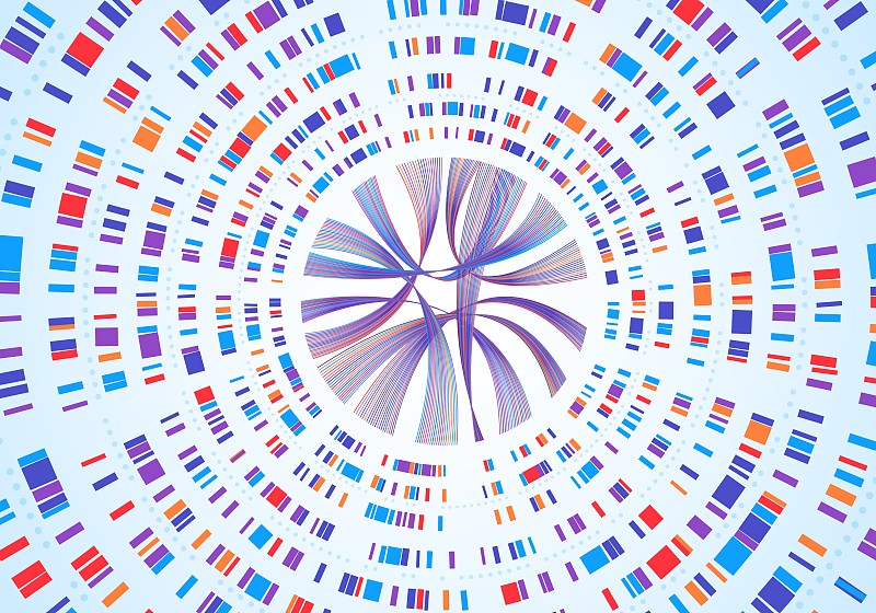 基因组信息。Dna序列可视化，基因图谱绘制，基因条形码。摘要染色体图谱、遗传分析载体概念