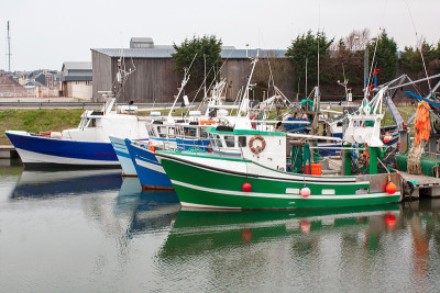 Treport。码头上的Chalutiers。诺曼底。Seine-Maritime