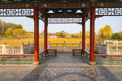 秋天，公园里有中国古建筑的阁楼和银杏树