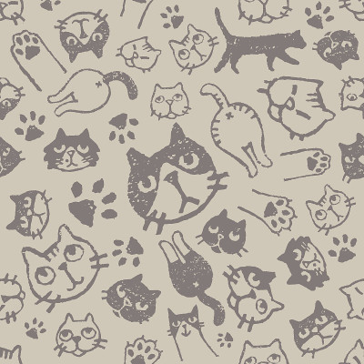 猫的模式