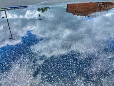 水坑的倒影