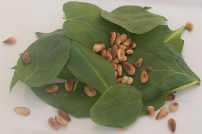 野生大蒜和菠菜叶与烤松子