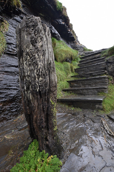 风化的系泊柱Boscastle Cornwall