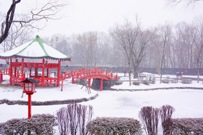 冬天被雪覆盖的凉亭