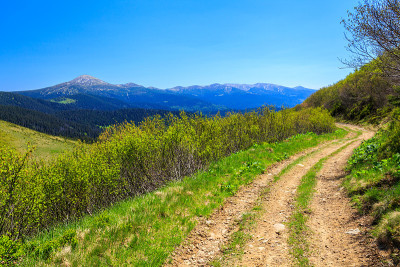 山里的路