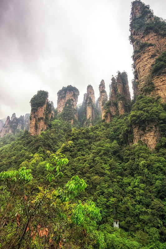 袁家界高耸的山峰