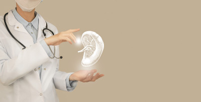 女医生手握虚脾。手绘人体器官，复印空间右侧，米色。医疗保健医院服务概念图片集