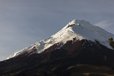 规定volcano
