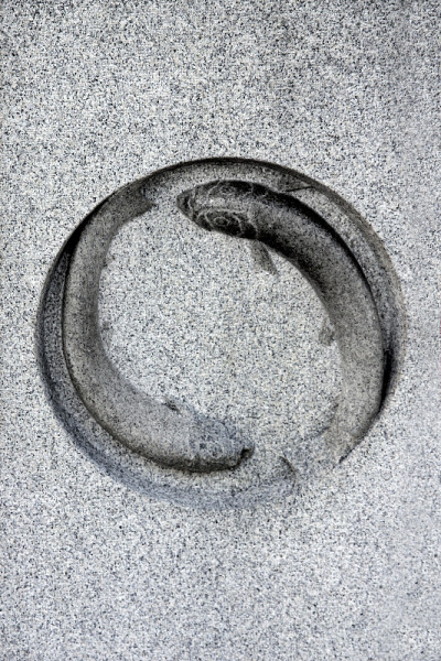 鱼