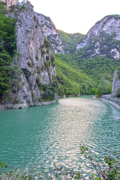 富洛