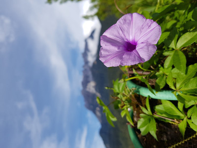 基纳巴卢山