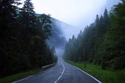 山路在阴雨霏霏的夏日里产生了一种神秘而迷人的风景。