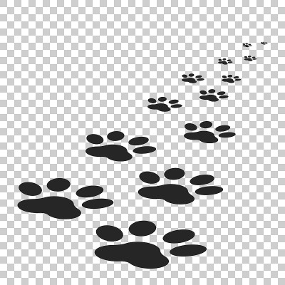 爪印图标矢量插图孤立在孤立的背景。狗、猫、熊爪子象征扁平象形文字。