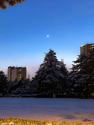 下雪的夜晚