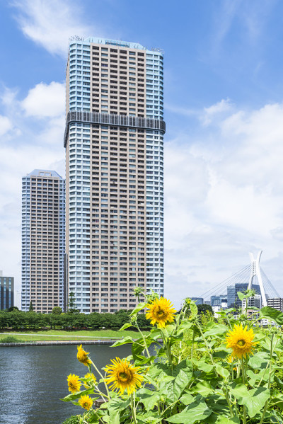 葵花大厦公寓