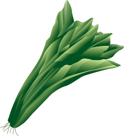 Komatsuna