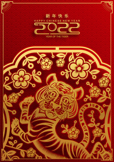 虎2022 206