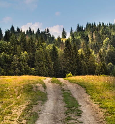 山路