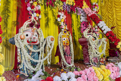 Lord Jagannath, Balaram和Suvodra, Ratha jatra festi