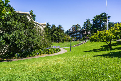 加州大学伯克利分校郁郁葱葱的草地