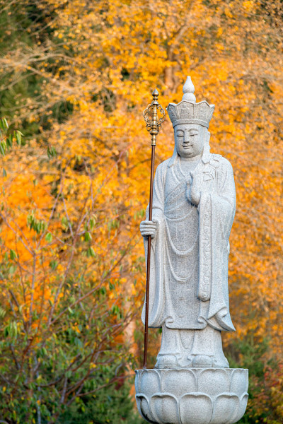 地藏菩萨，以黄色的秋色为背景的石像