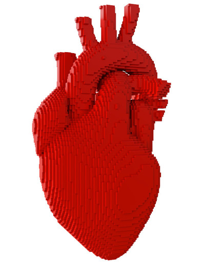 3d打印心脏分离物