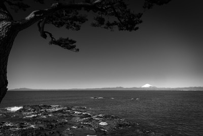 三浦半岛海景