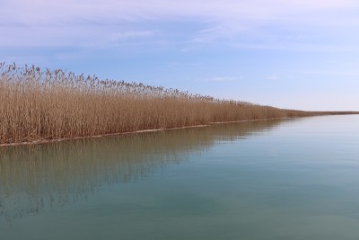 沿河钓鱼