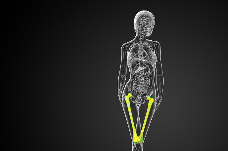 股骨的3d渲染医学插图