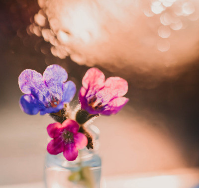 三花