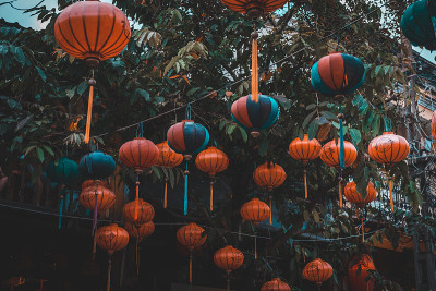 树上的红灯笼