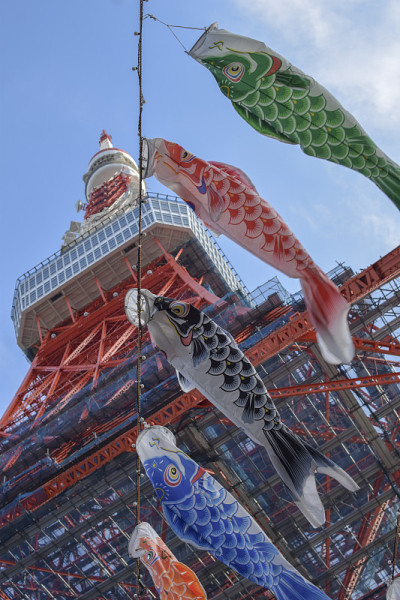 koinobori