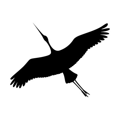 Silhouette of a flying bird on white background. M
