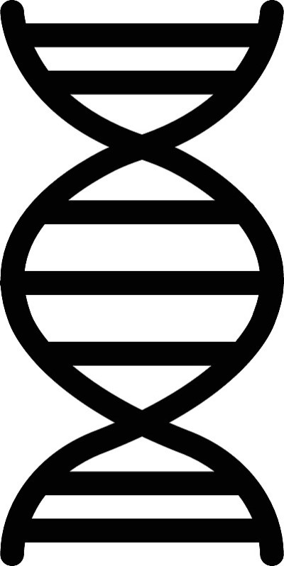 太太