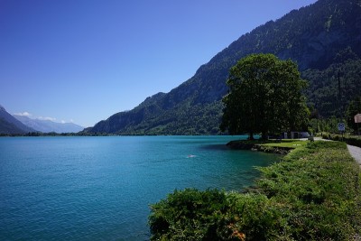 Brienz湖。伯尔尼。瑞士