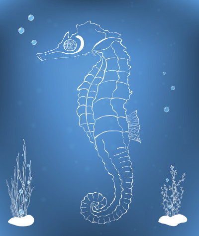 海马