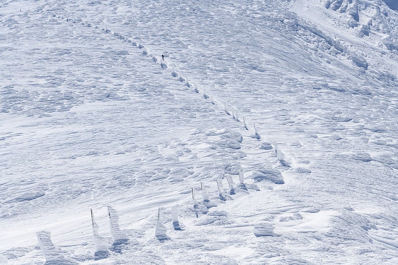 熊野山的山路