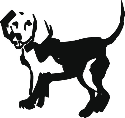 小猎犬号