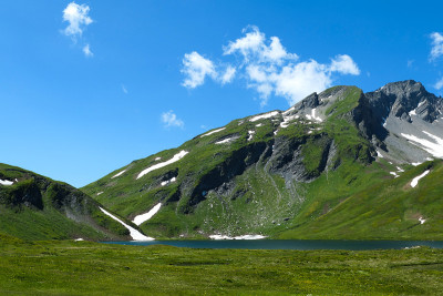 夏天，绿色牧场上白雪皑皑的山峰。