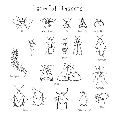 Set of harmful insects hand drawn illustration