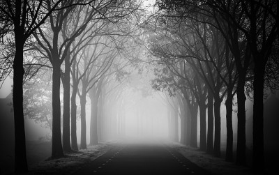 雾中的烟灰巷，B&W